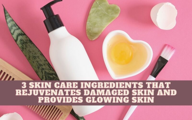 3 Skin Care Ingredients That Rejuvenates Damaged Skin And Provides Glowing Skin